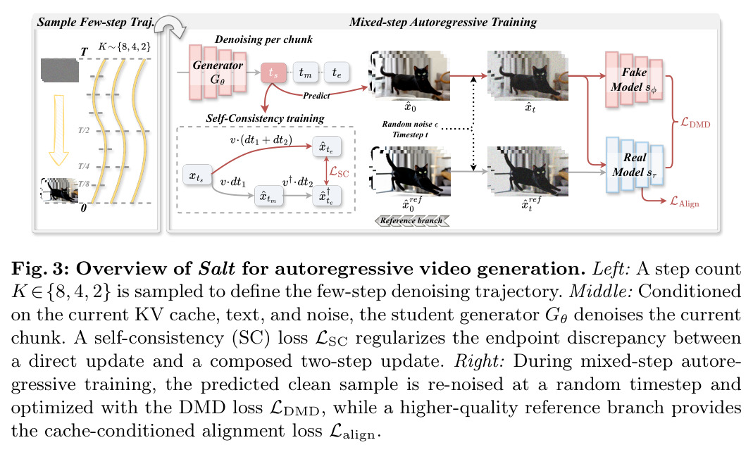 Overview of Salt for autoregressive video generation.
