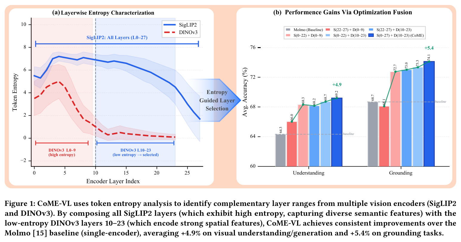 CoME-VL uses token entropy analysis to identify complementary layer ranges from multiple vision encoders (SigLIP2 and DINOv3). By composing all SigLIP2 layers (which exhibit high entropy, capturing diverse semantic features) with the low-entropy DINOv3 layers 10–23 (which encode strong spatial features), CoME-VL achieves consistent improvements over the Molmo baseline.