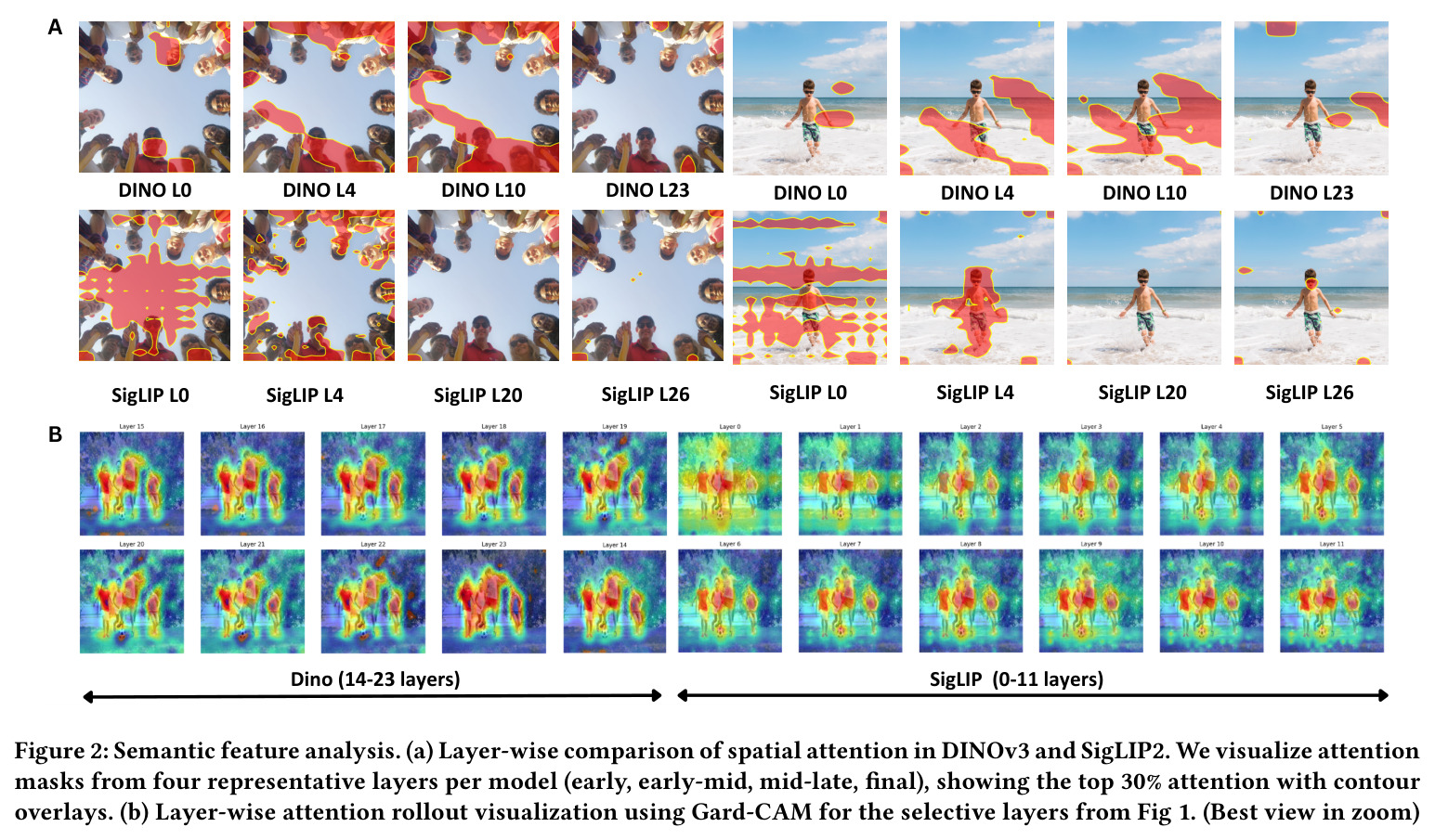 Semantic feature analysis. (a) Layer-wise comparison of spatial attention in DINOv3 and SigLIP2. (b) Layer-wise attention rollout visualization using Grad-CAM for the selective layers.