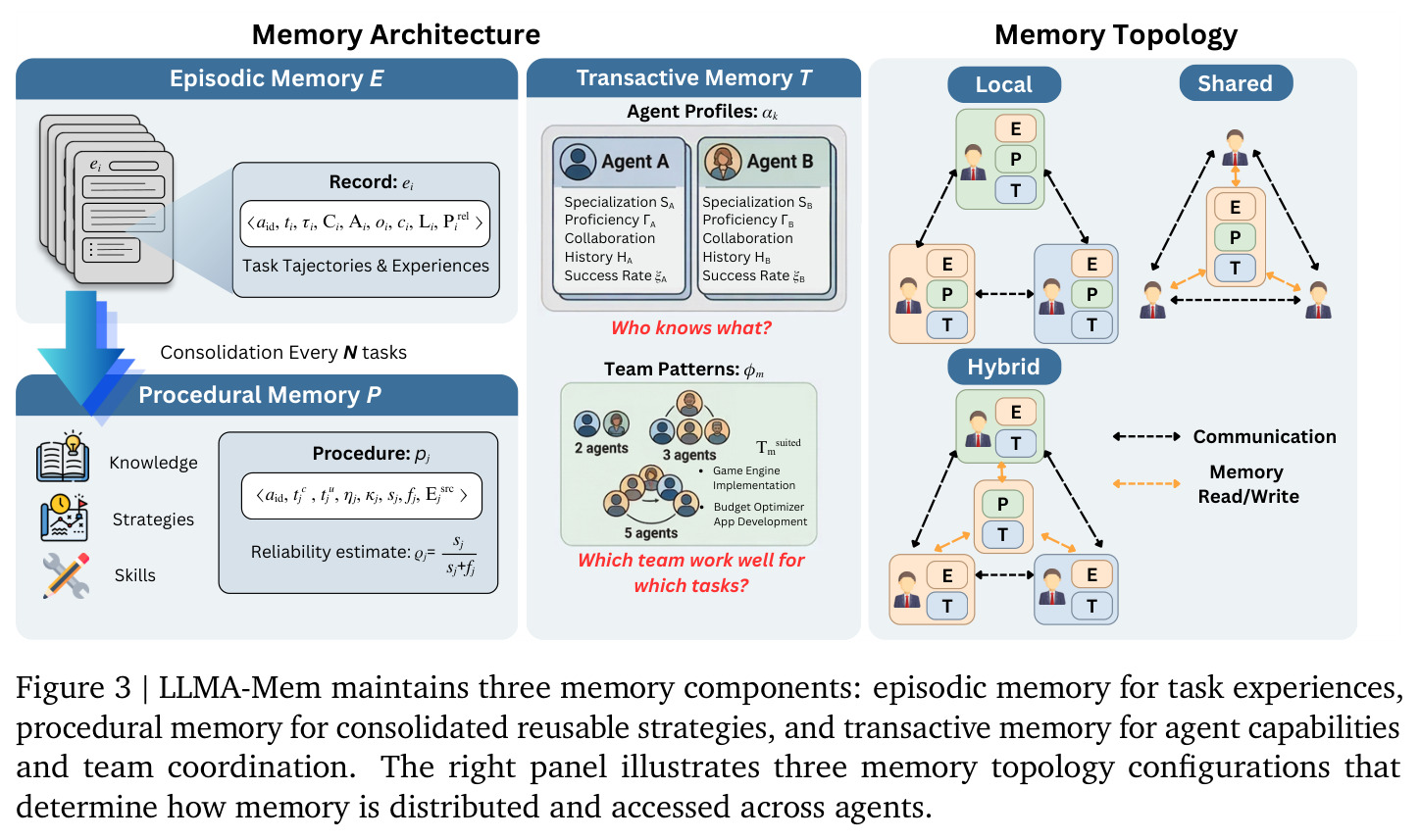 LLMA-Mem maintains three memory components: episodic memory for task experiences, procedural memory for consolidated reusable strategies, and transactive memory for agent capabilities and team coordination.
