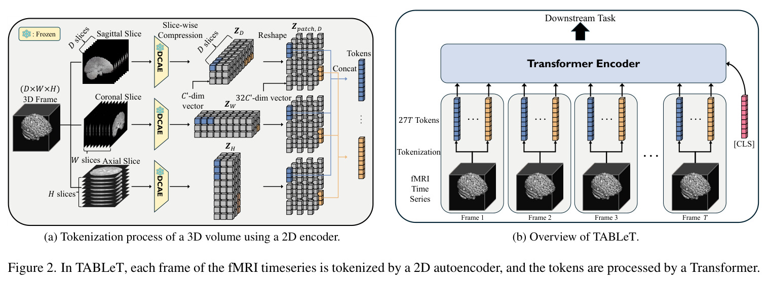 TABLeT 框架图:三轴切片 token 化与 Transformer 编码