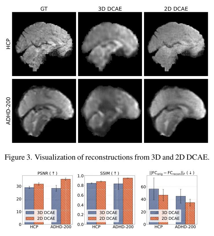 3D DCAE 与 2D DCAE 的 fMRI 重建可视化