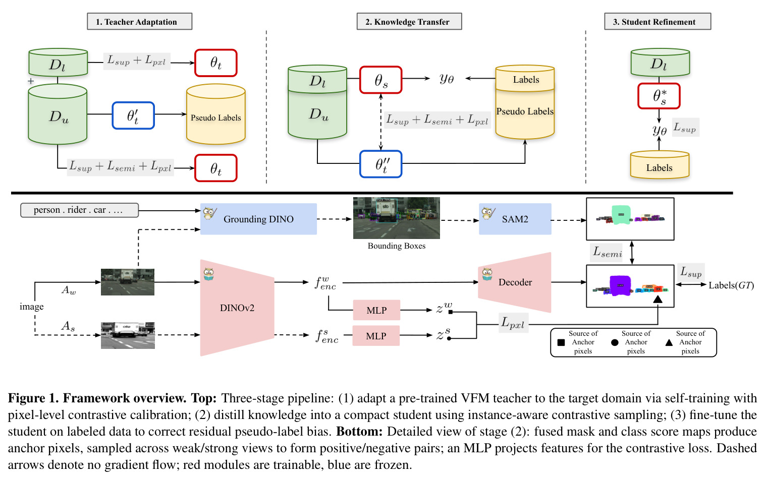 Framework overview. Three-stage pipeline (teacher adaptation → knowledge transfer → student refinement) and detailed view of stage 2 showing fused mask/class score maps, anchor sampling, and MLP projection for the contrastive loss.