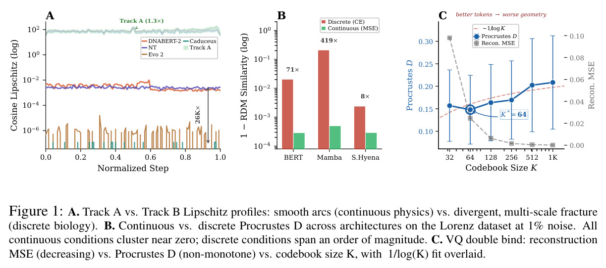 A. Track A vs. Track B Lipschitz profiles: smooth arcs (continuous physics) vs. divergent, multi-scale fracture (discrete biology). B. Continuous vs. discrete Procrustes D across architectures on the Lorenz dataset at 1% noise. All continuous conditions cluster near zero; discrete conditions span an order of magnitude. C. VQ double bind: reconstruction MSE (decreasing) vs. Procrustes D (non-monotone) vs. codebook size K, with 1/log(K) fit overlaid.