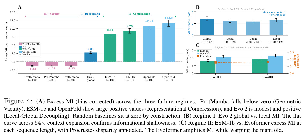 (A) Excess MI (bias-corrected) across the three failure regimes. ProtMamba falls below zero (Geometric Vacuity), ESM-1b and OpenFold show large positive values (Representational Compression), and Evo 2 is modest and positive (Local-Global Decoupling). Random baselines sit at zero by construction. (B) Regime I: Evo 2 global vs. local MI. The flat curve across 64× context expansion confirms informational shallowness. (C) Regime II: ESM-1b vs. Evoformer excess MI at each sequence length, with Procrustes disparity annotated. The Evoformer amplifies MI while warping the manifold.