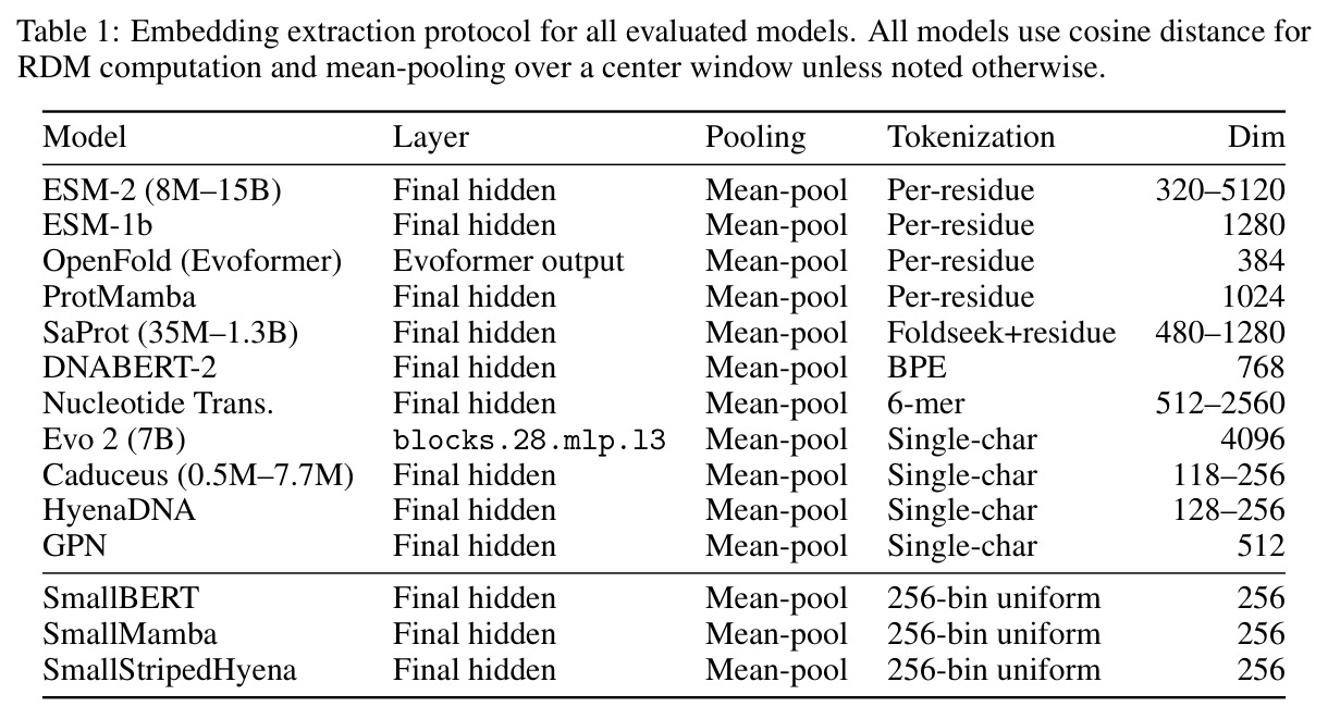 Per-model layer and pooling details