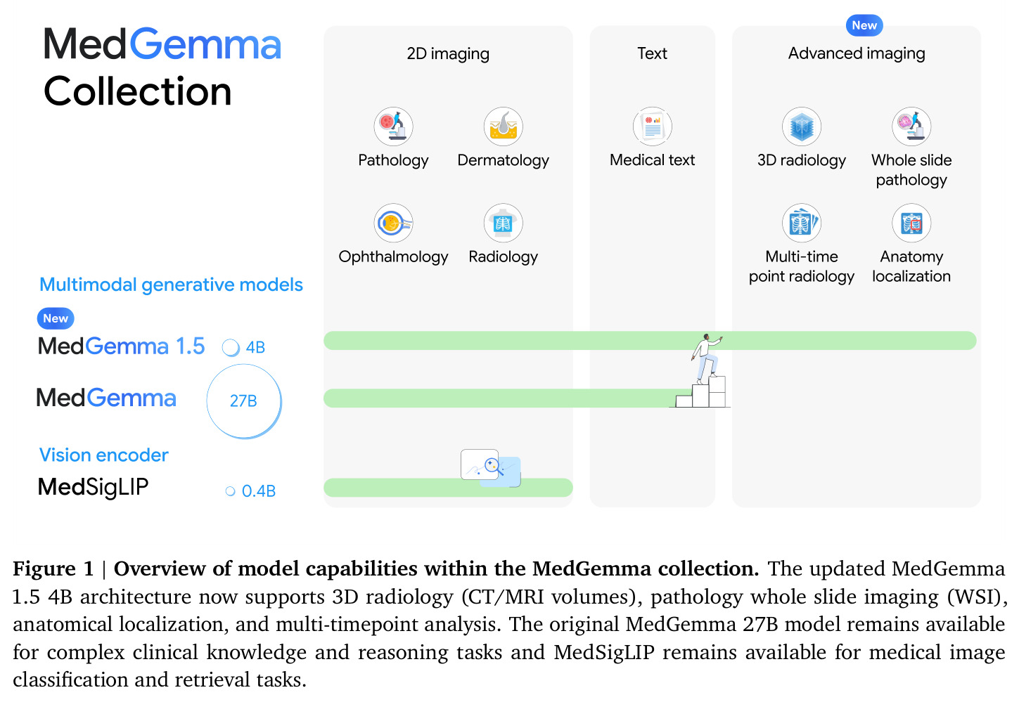 Overview of model capabilities within the MedGemma collection