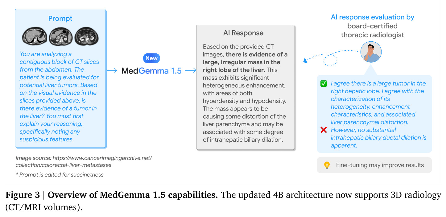 Overview of MedGemma 1.5 3D radiology capability