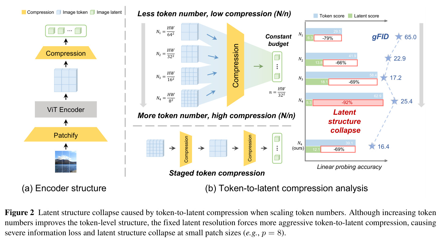 Latent structure collapse caused by token-to-latent compression when scaling token numbers