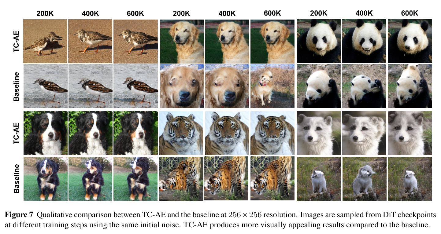 Qualitative comparison between TC-AE and the baseline at 256×256 resolution