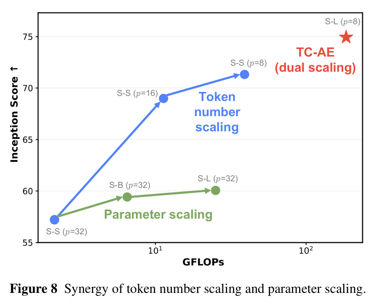Synergy of token number scaling and parameter scaling