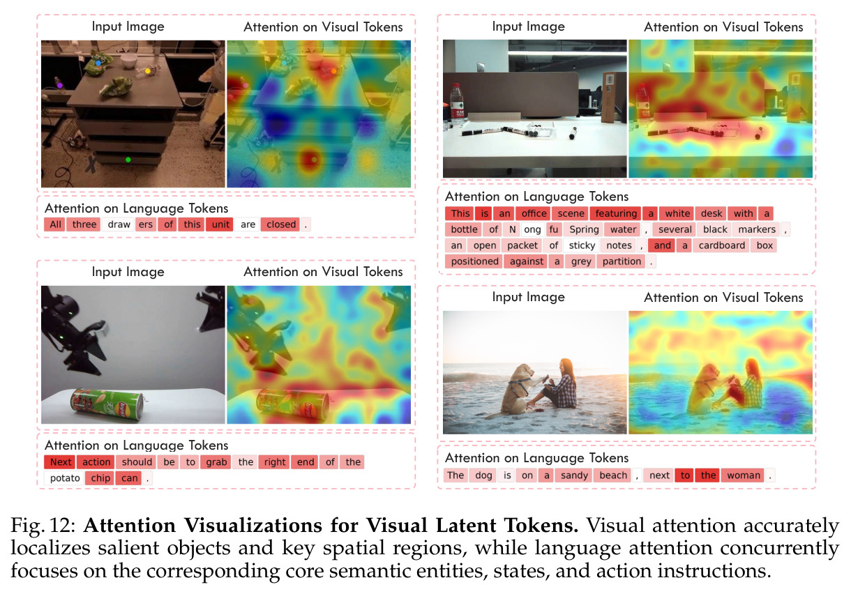Attention Visualizations for Visual Latent Tokens.