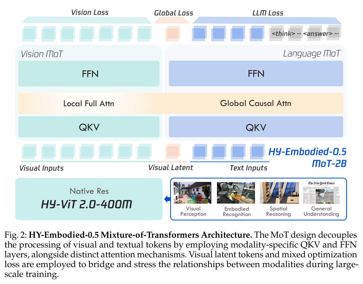 HY-Embodied-0.5 Mixture-of-Transformers Architecture.