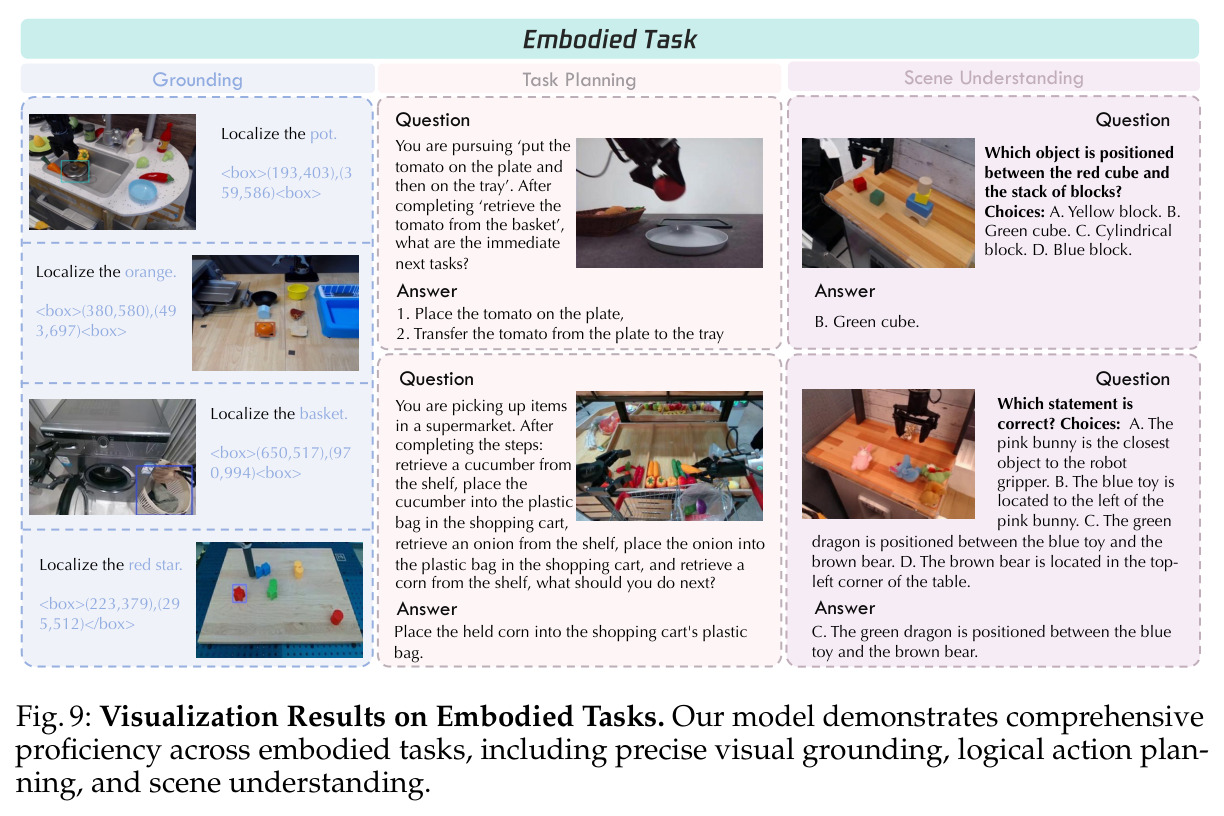 Visualization Results on Embodied Tasks.