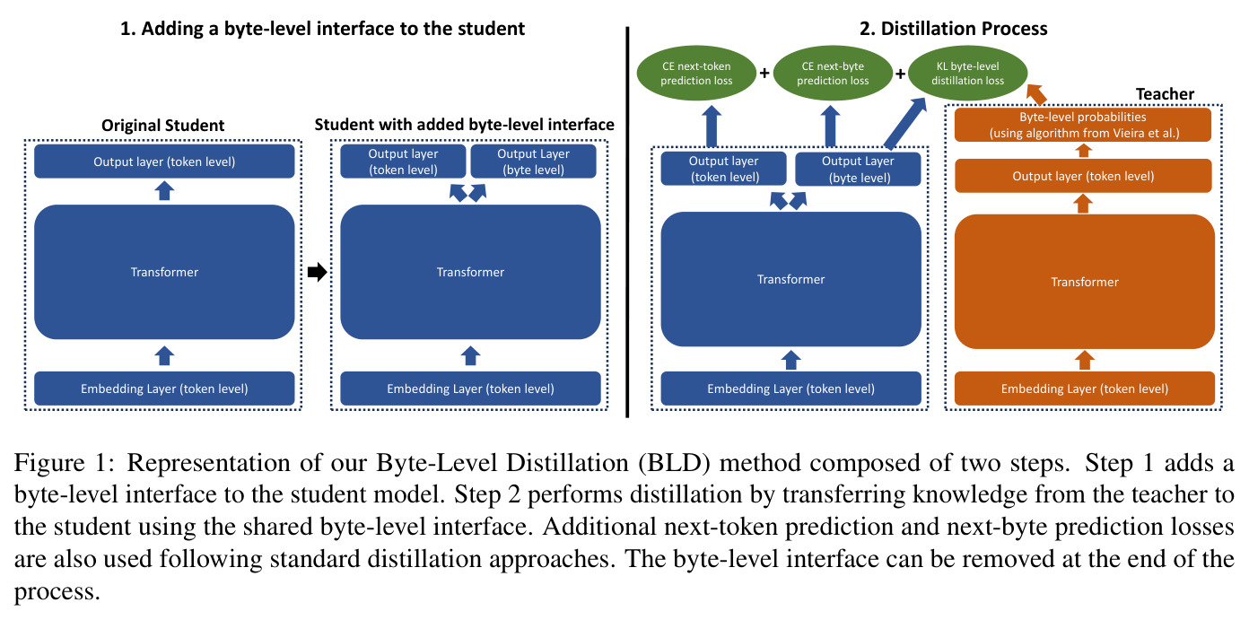 BLD 方法总览：第一步为学生添加 byte-level 接口，第二步通过共享字节级接口蒸馏
