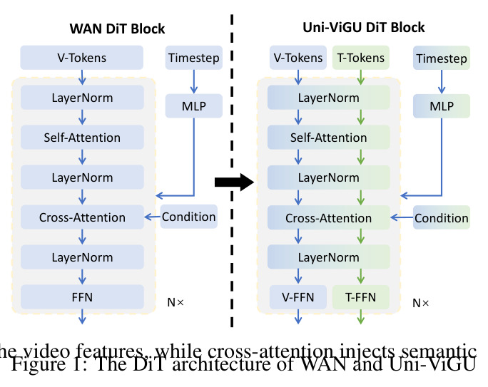 The DiT architecture of WAN and Uni-ViGU