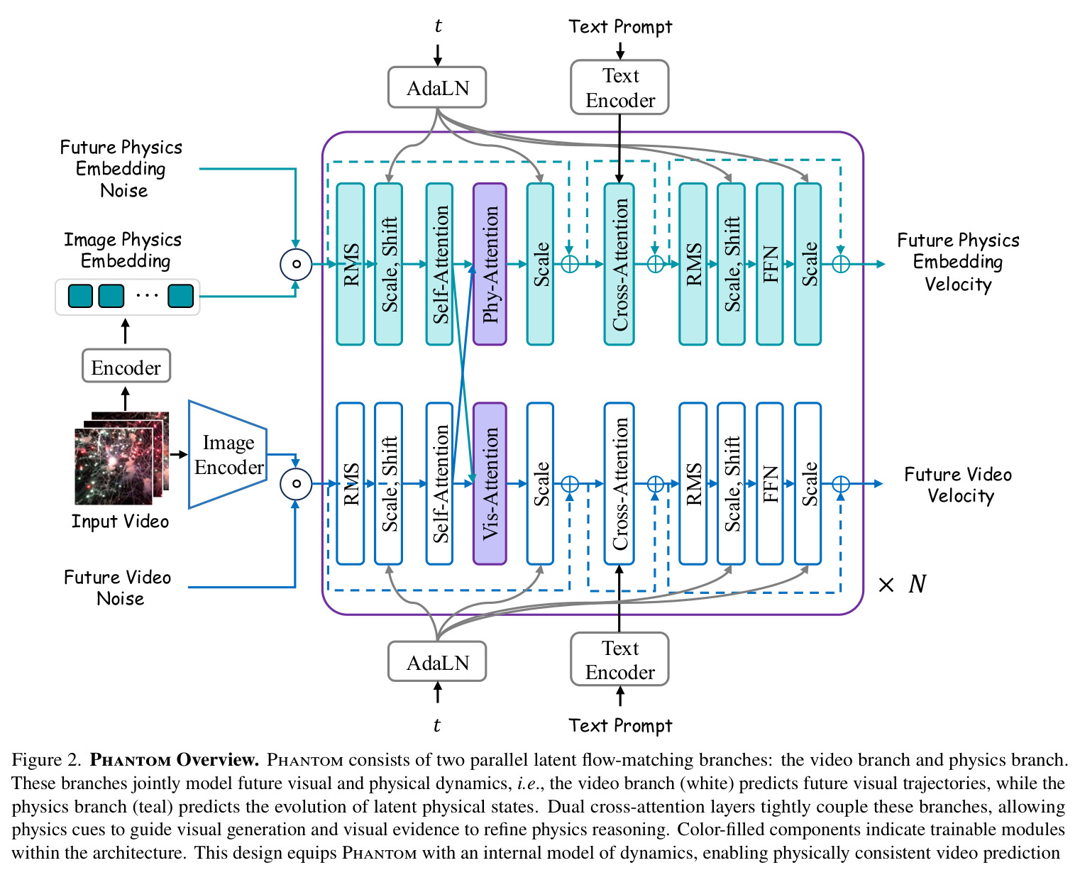 Phantom Overview. Dual-branch latent flow-matching architecture with video branch (white) and physics branch (teal) coupled by dual cross-attention.