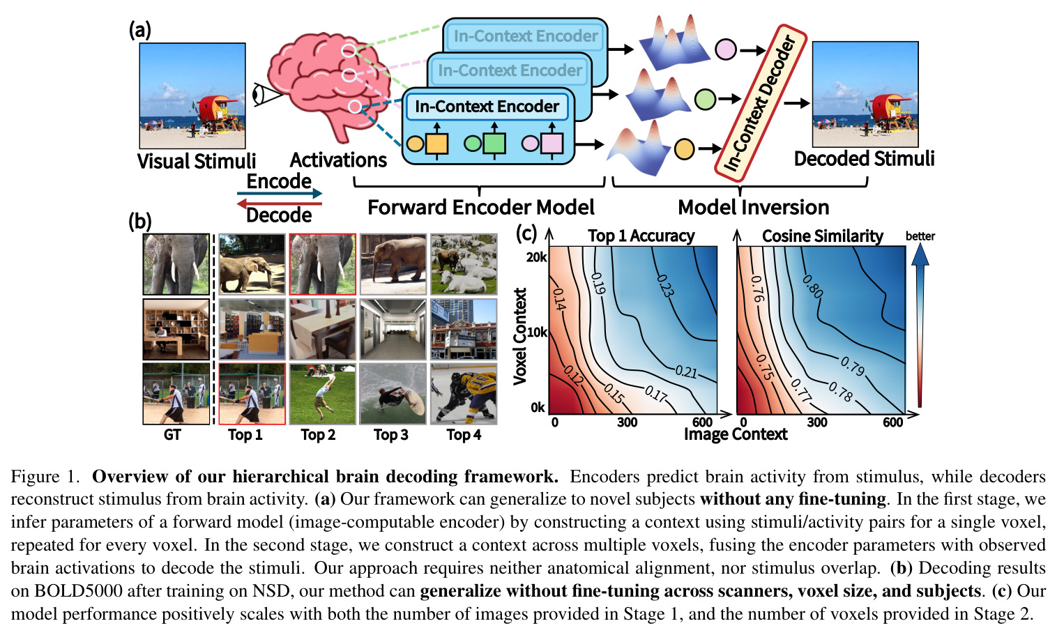 Overview of our hierarchical brain decoding framework.