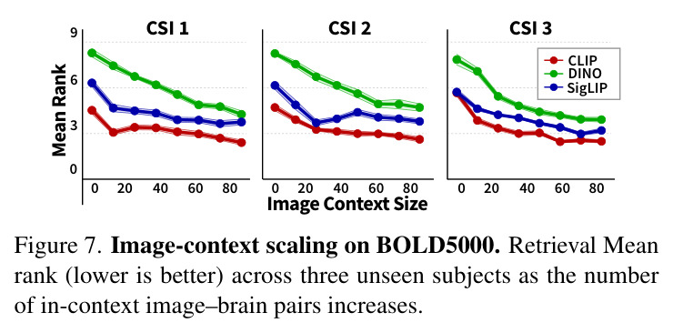 Image-context scaling on BOLD5000.