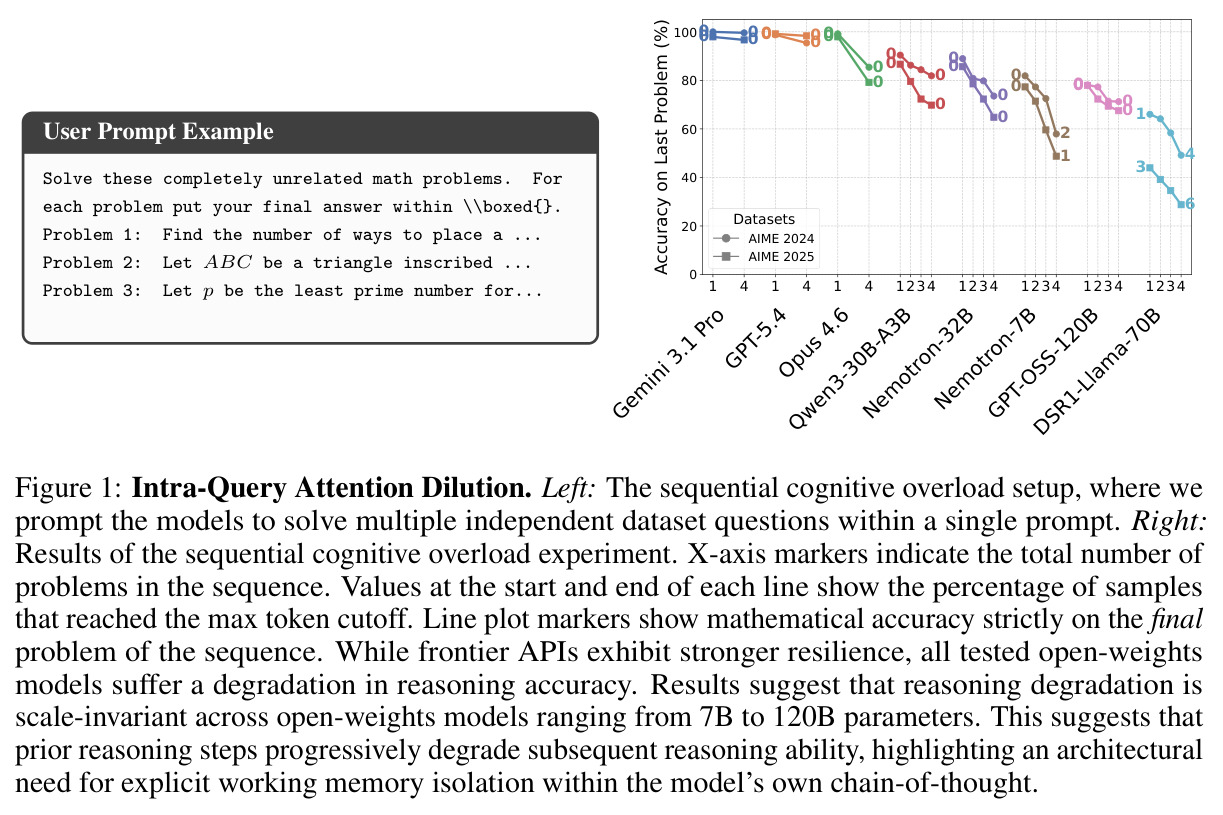 Intra-Query Attention Dilution