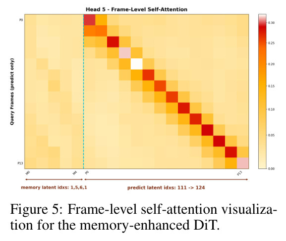 Frame-level self-attention visualization for the memory-enhanced DiT.