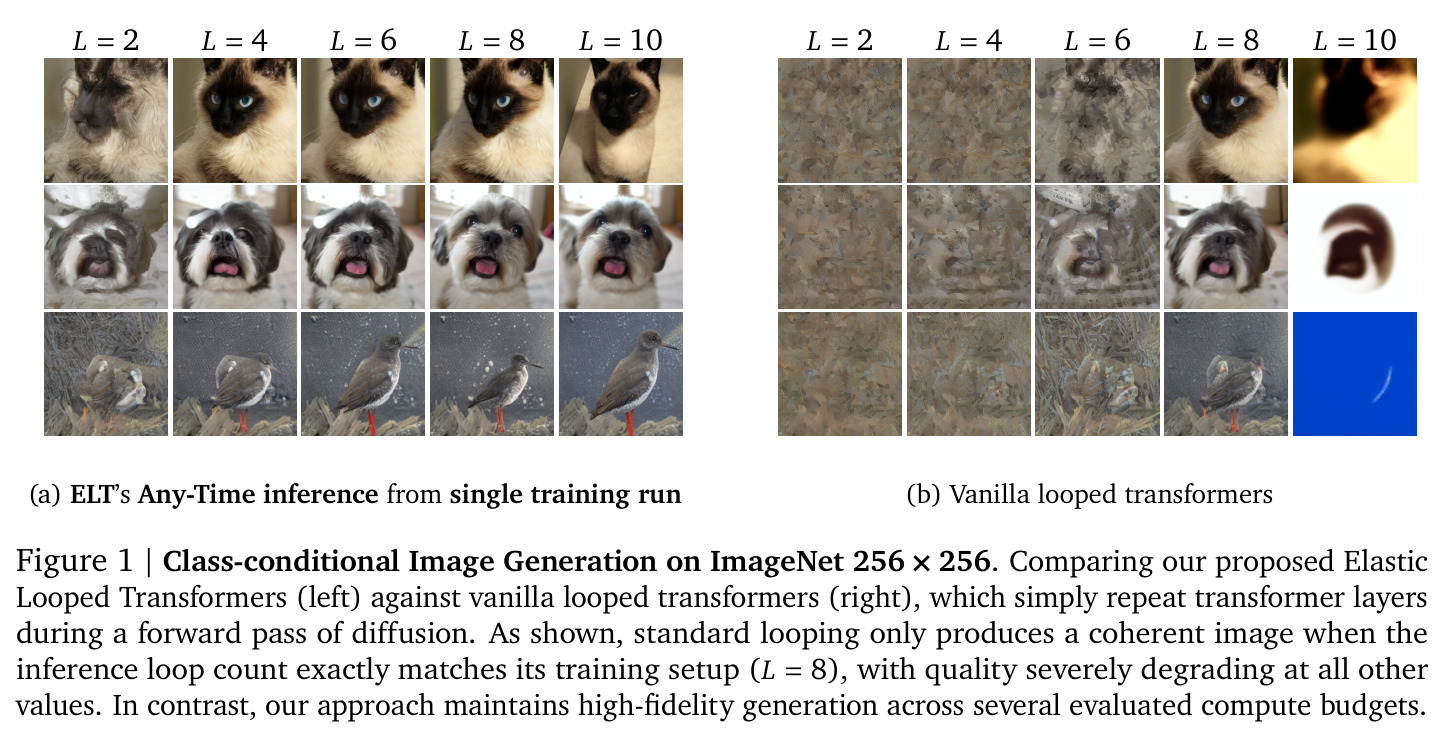 Class-conditional Image Generation on ImageNet 256 × 256. ELT (left) vs Vanilla Looped Transformers (right).