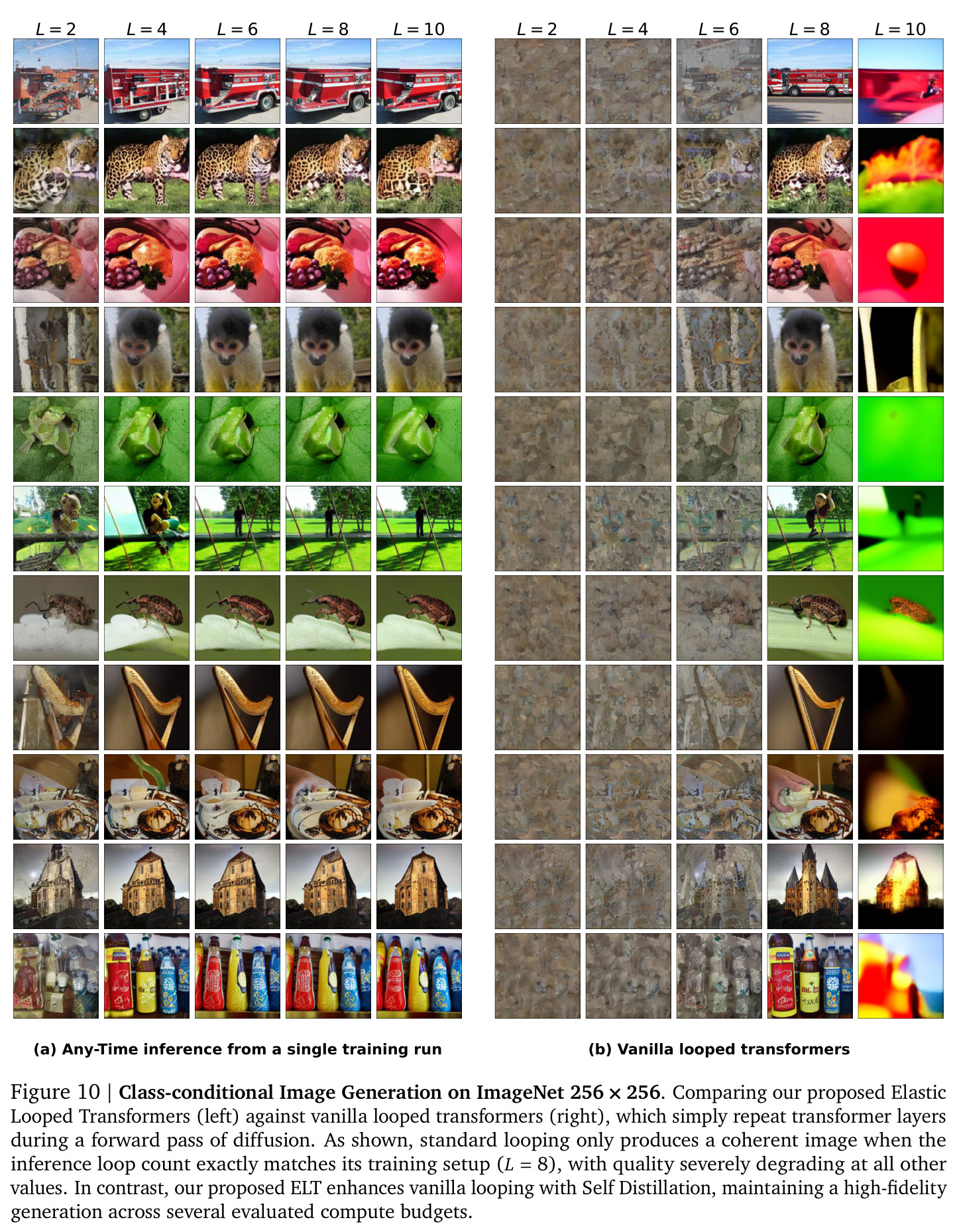Class-conditional Image Generation on ImageNet 256 × 256 (qualitative, second set).
