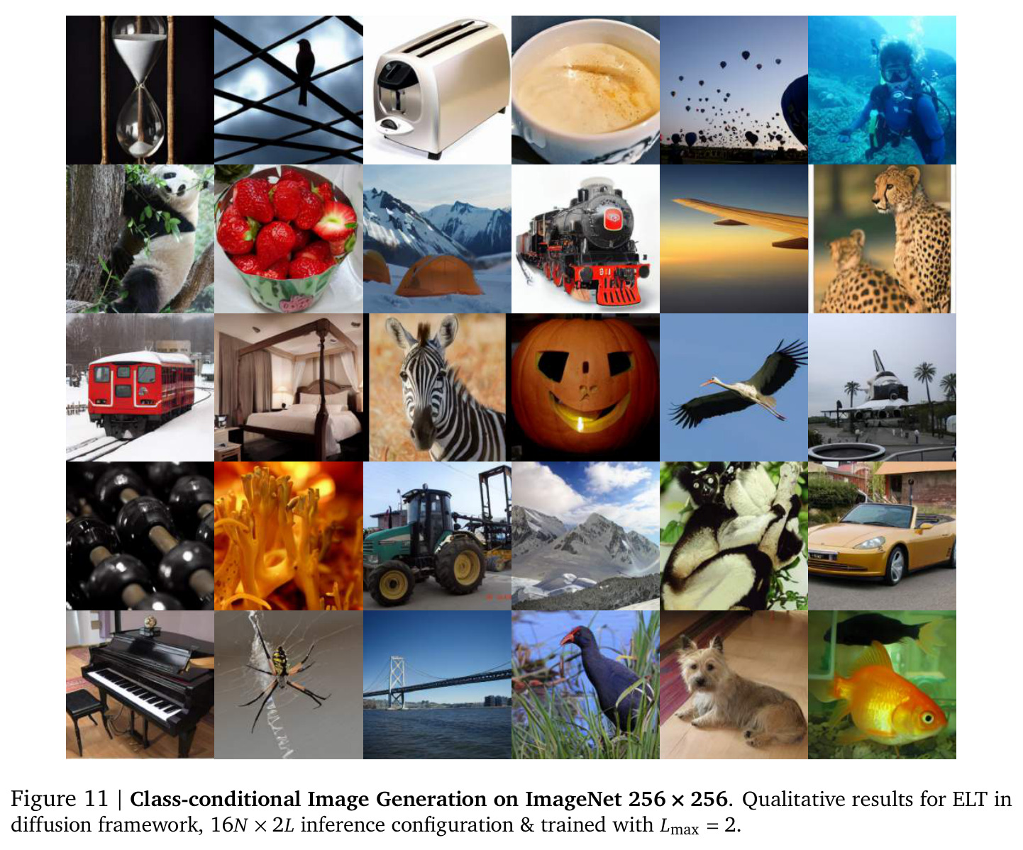 Class-conditional Image Generation on ImageNet 256 × 256. Qualitative results for ELT in diffusion framework.