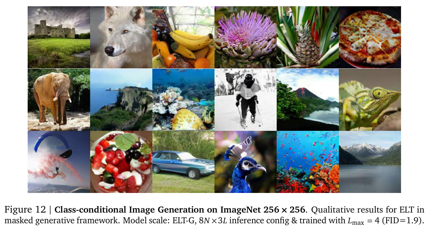 Class-conditional Image Generation on ImageNet 256 × 256. Qualitative results for ELT in masked generative framework.