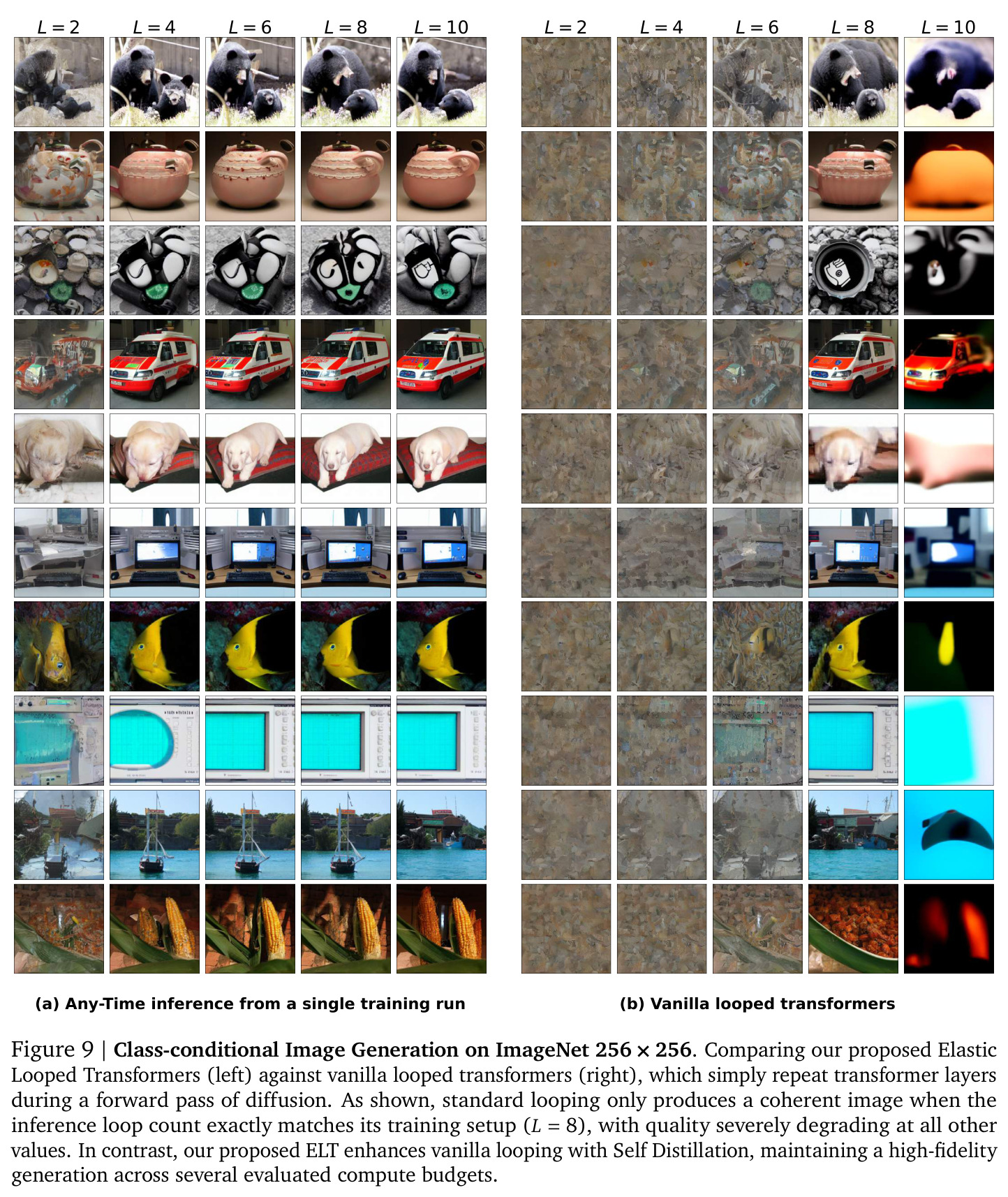Class-conditional Image Generation on ImageNet 256 × 256 (qualitative).