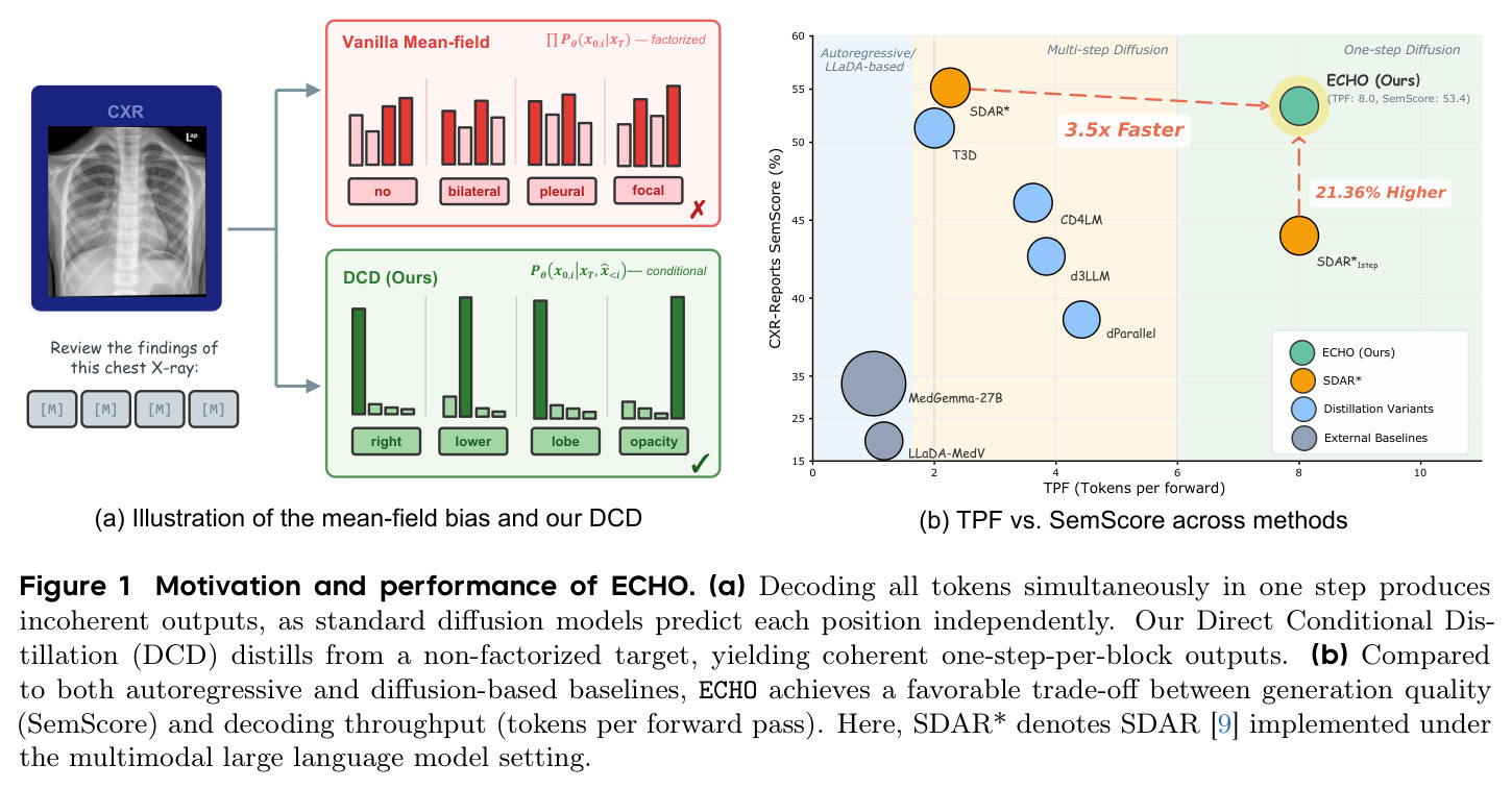 Motivation and performance of ECHO. (a) Decoding all tokens simultaneously in one step produces incoherent outputs, as standard diffusion models predict each position independently. Our Direct Conditional Distillation (DCD) distills from a non-factorized target, yielding coherent one-step-per-block outputs. (b) Compared to both autoregressive and diffusion-based baselines, ECHO achieves a favorable trade-off between generation quality (SemScore) and decoding throughput (tokens per forward pass).
