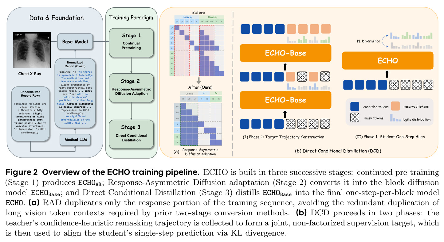 Overview of the ECHO training pipeline. ECHO is built in three successive stages: continued pre-training (Stage 1) produces ECHOAR; Response-Asymmetric Diffusion adaptation (Stage 2) converts it into the block diffusion model ECHOBase; and Direct Conditional Distillation (Stage 3) distills ECHOBase into the final one-step-per-block model ECHO.
