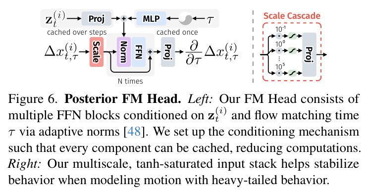 Posterior FM Head