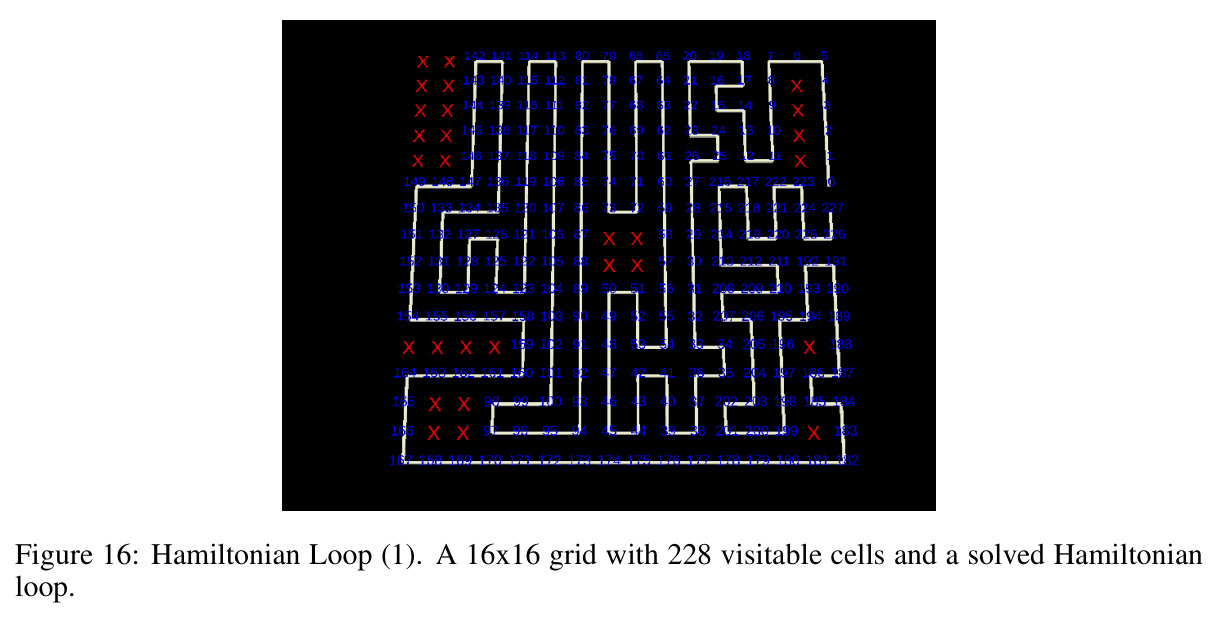 Hamiltonian Loop (1). A 16×16 grid with 228 visitable cells and a solved Hamiltonian loop.