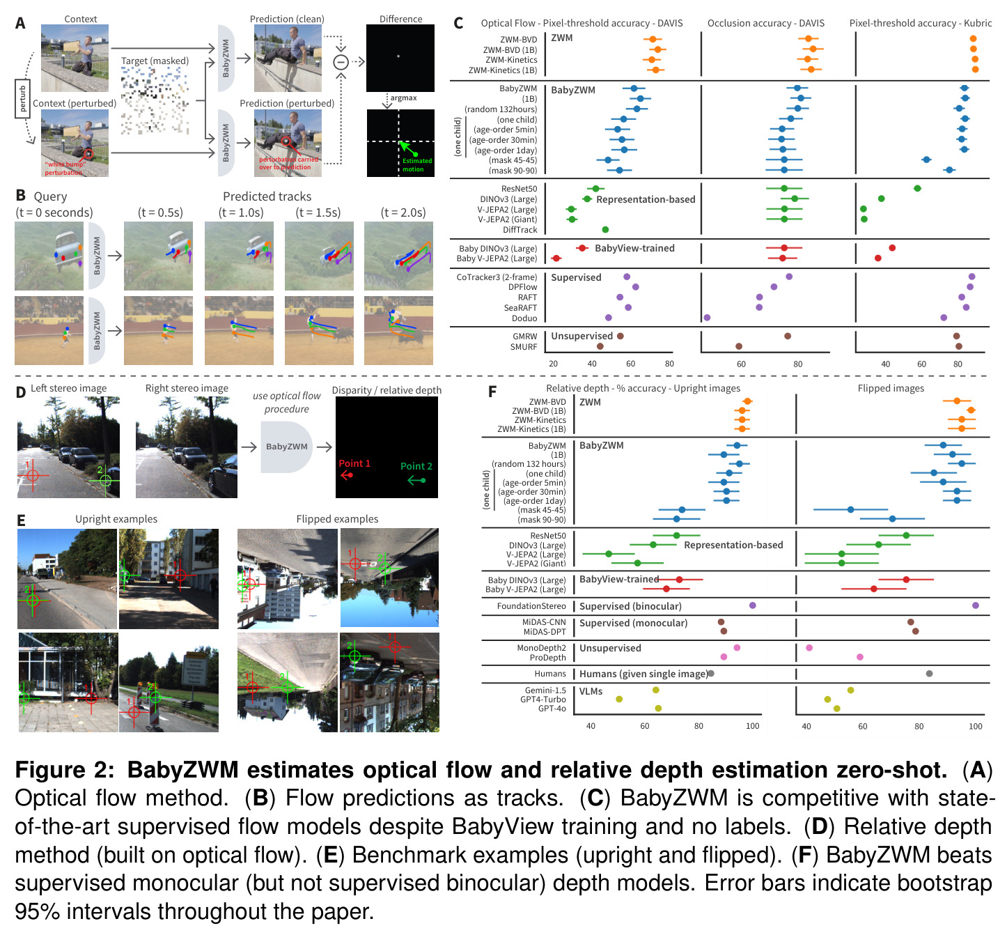 BabyZWM zero-shot estimates optical flow and relative depth. (A) 光流方法示意;(B) 光流预测轨迹可视化;(C) BabyZWM 在光流上与监督 SOTA 相当;(D) 相对深度方法(基于光流);(E) 基准示例(正立与翻转);(F) BabyZWM 击败监督单目深度模型,接近监督双目