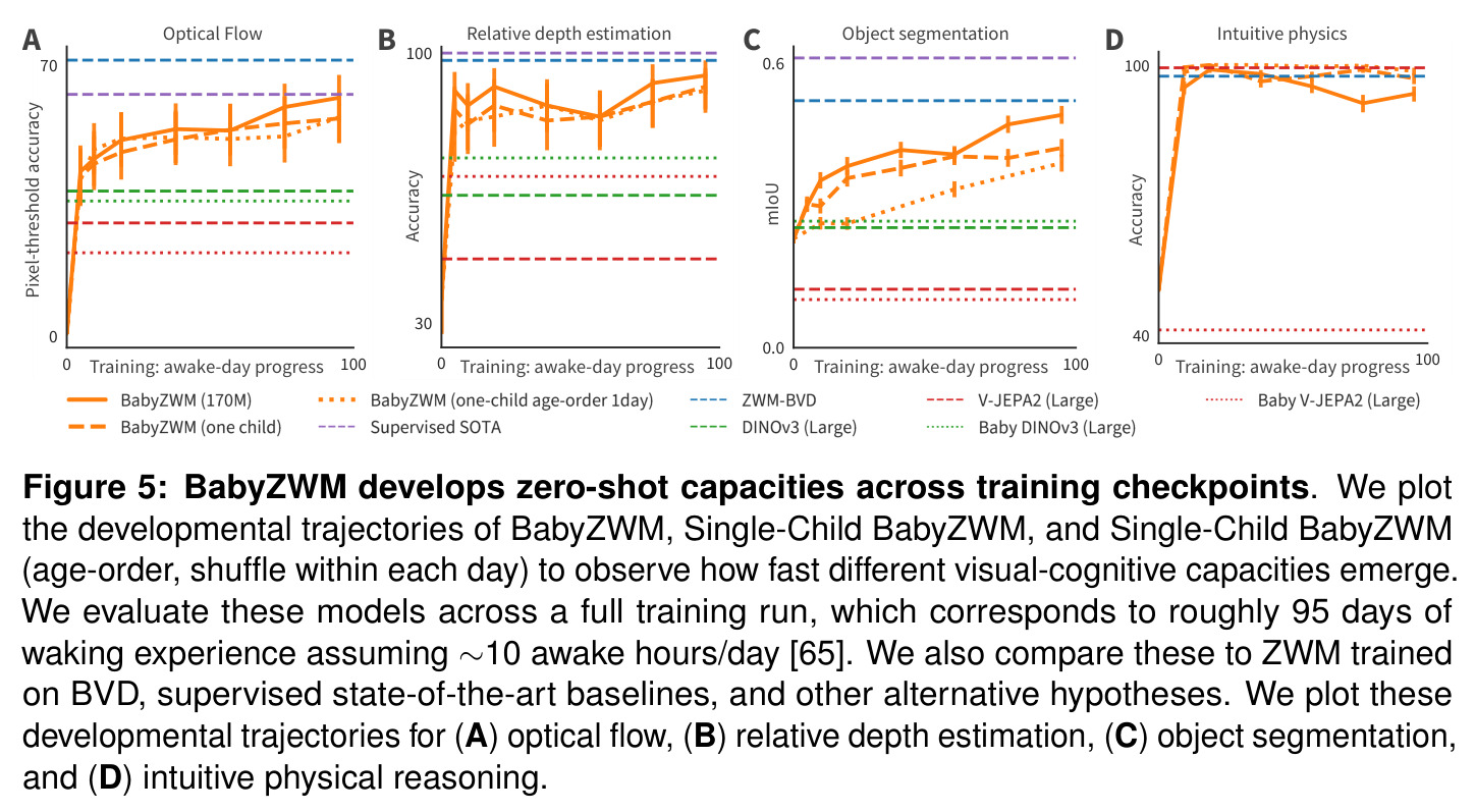 BabyZWM develops zero-shot capacities across training checkpoints. (A) 光流;(B) 相对深度;(C) 物体分割;(D) 直观物理的发育轨迹