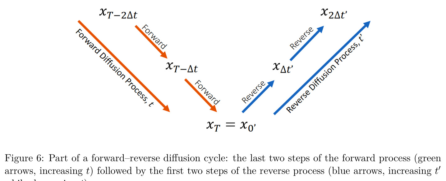 Part of a forward–reverse diffusion cycle.