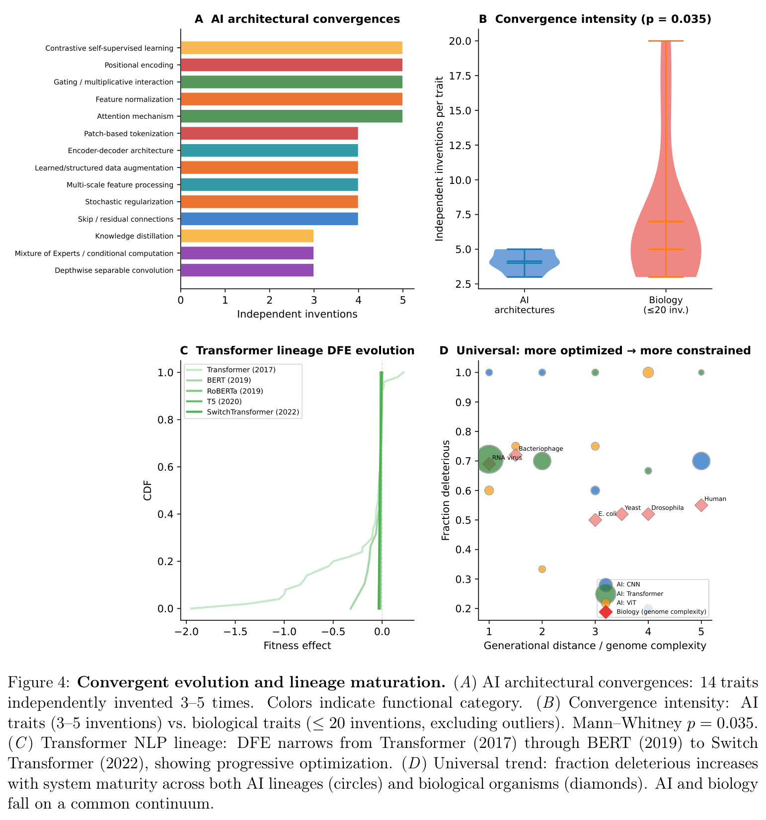 Convergent evolution and lineage maturation