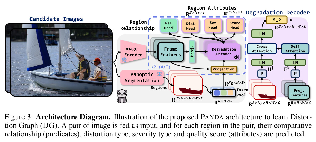 PANDA Architecture — 端到端的 DETR-like 架构图。