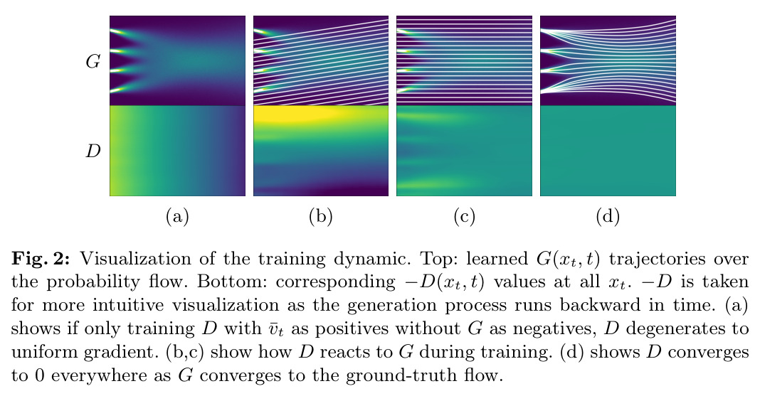 Visualization of the training dynamic.