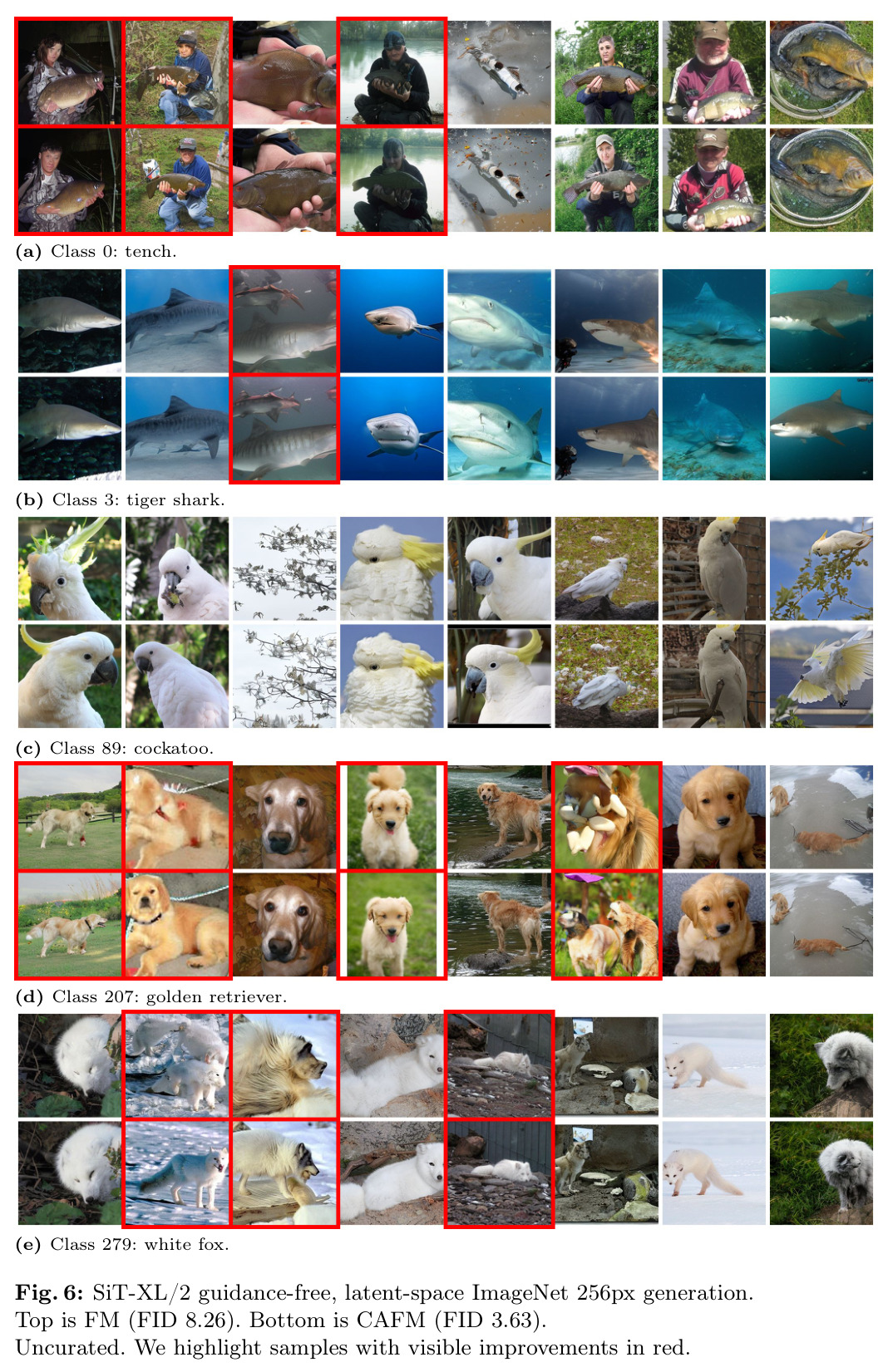 SiT-B/2 pre-training on ImageNet 256px generation.