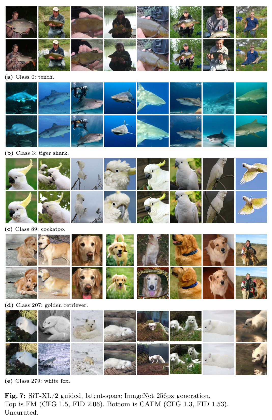 Continuous adversarial flow training (PyTorch implementation)