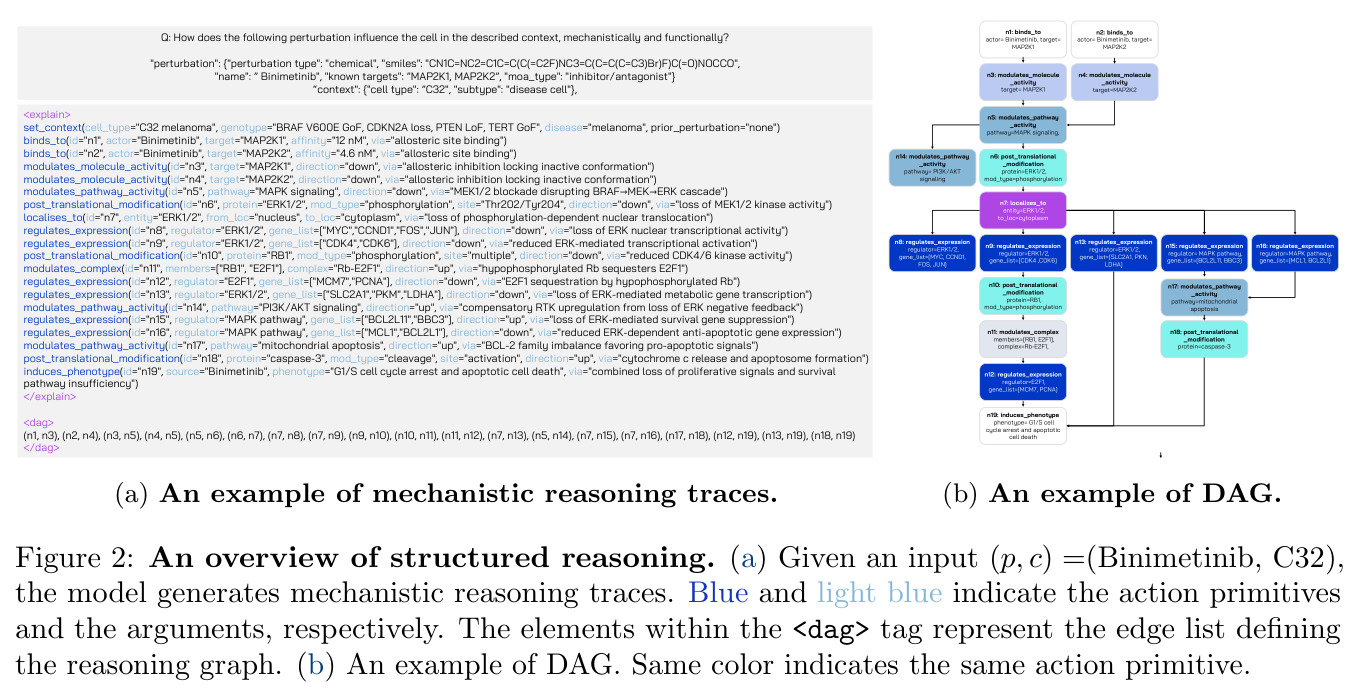 An Overview of Structured Reasoning（结构化推理概览）