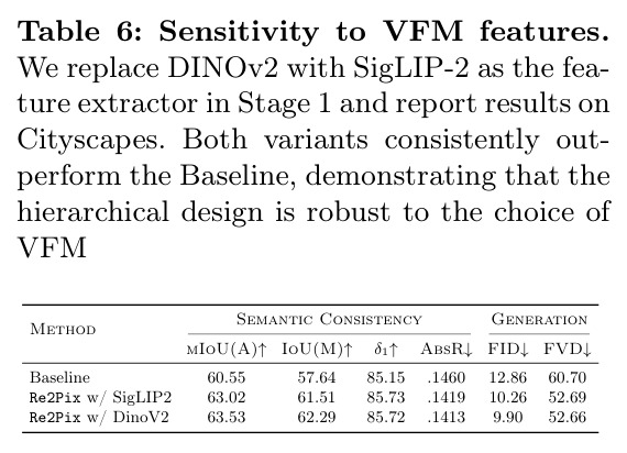 Sensitivity to VFM features
