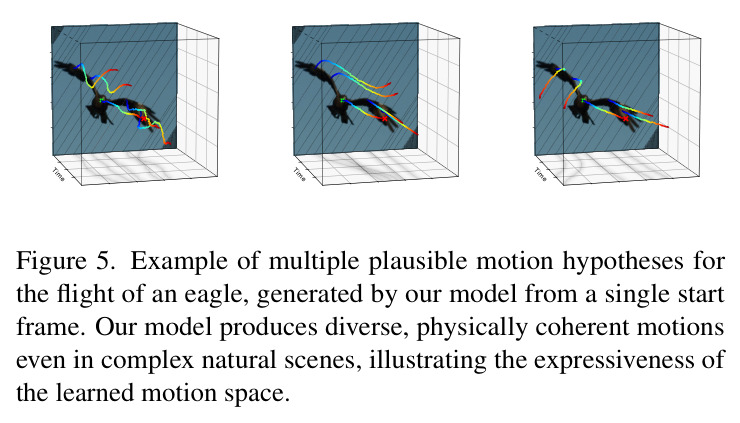 Multiple plausible motion hypotheses for eagle flight.