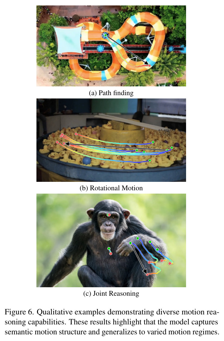 Qualitative examples of diverse motion reasoning.