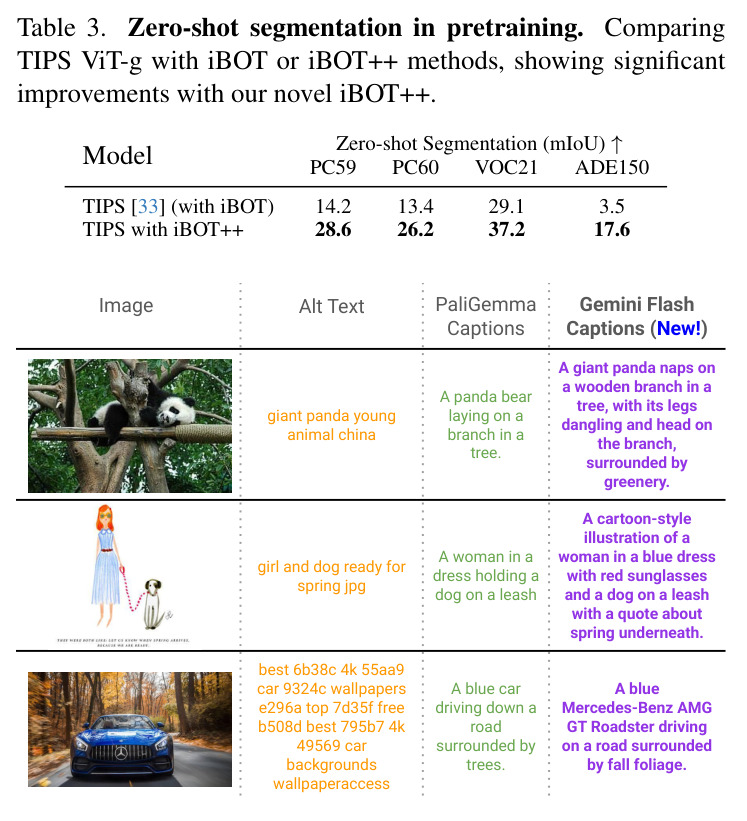 预训练阶段 iBOT vs iBOT++ 对比。