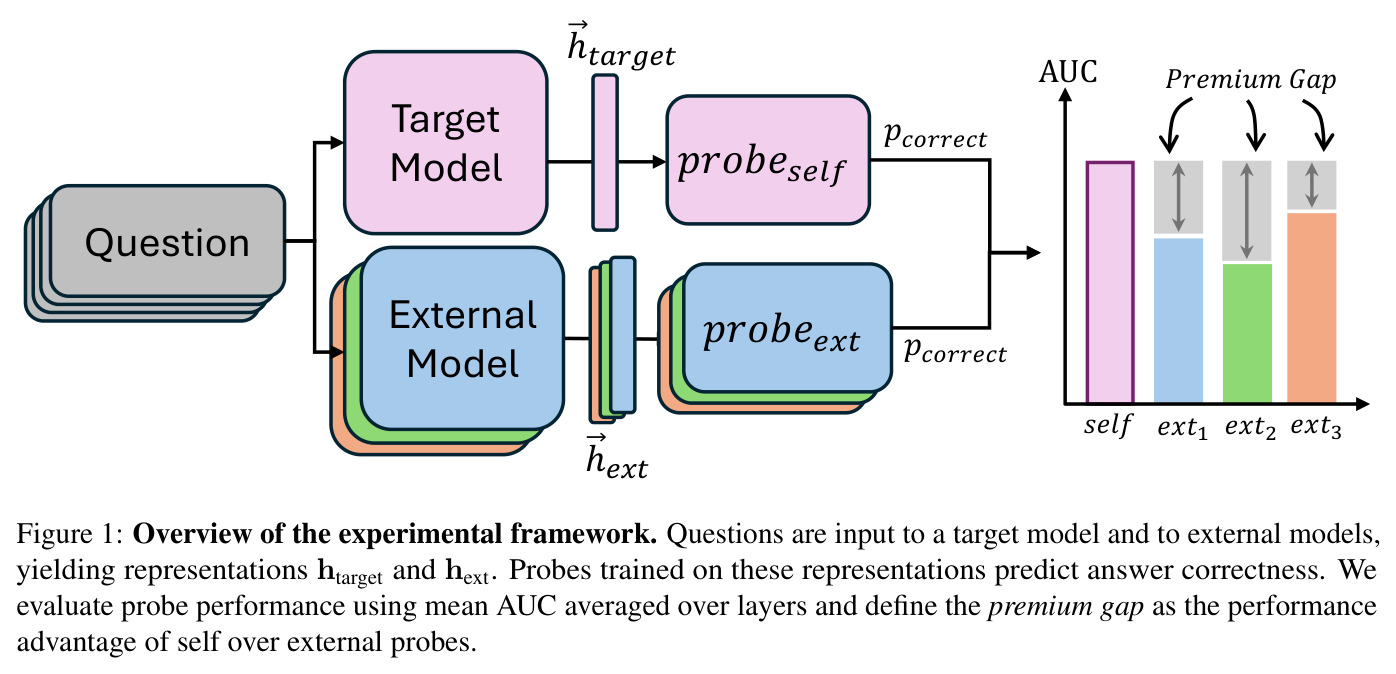 Overview of the experimental framework.