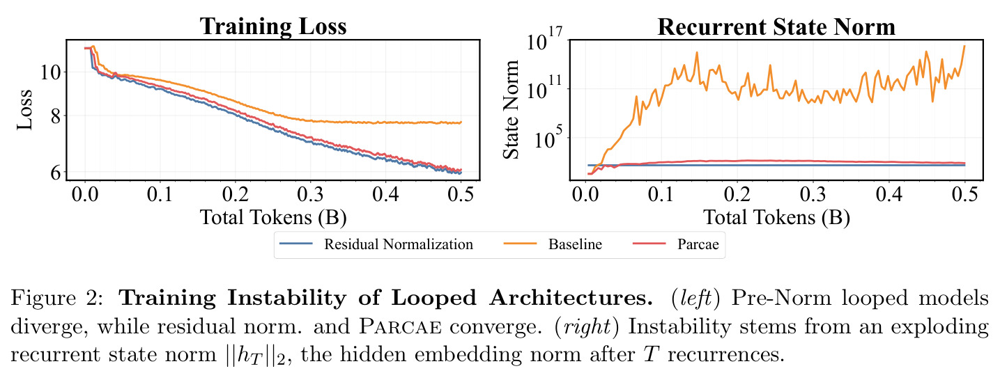 Training Instability of Looped Architectures
