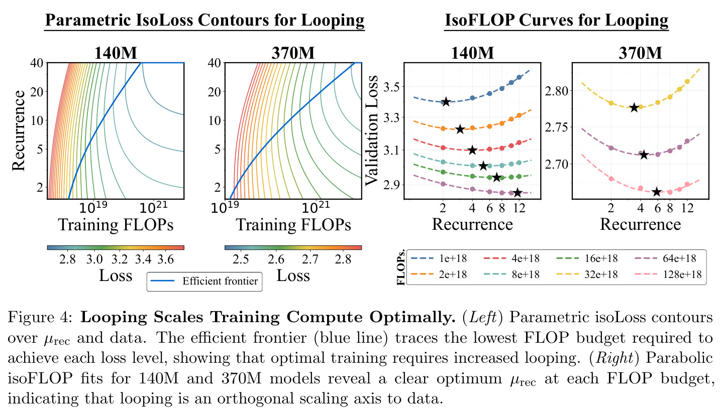 Looping Scales Training Compute Optimally